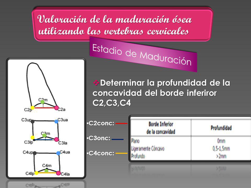 Valoración de la maduración ósea utilizando las vertebras cervicales