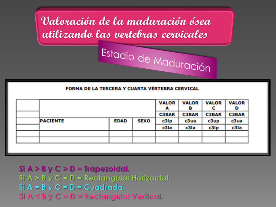 Valoración de la maduración ósea utilizando las vertebras cervicales