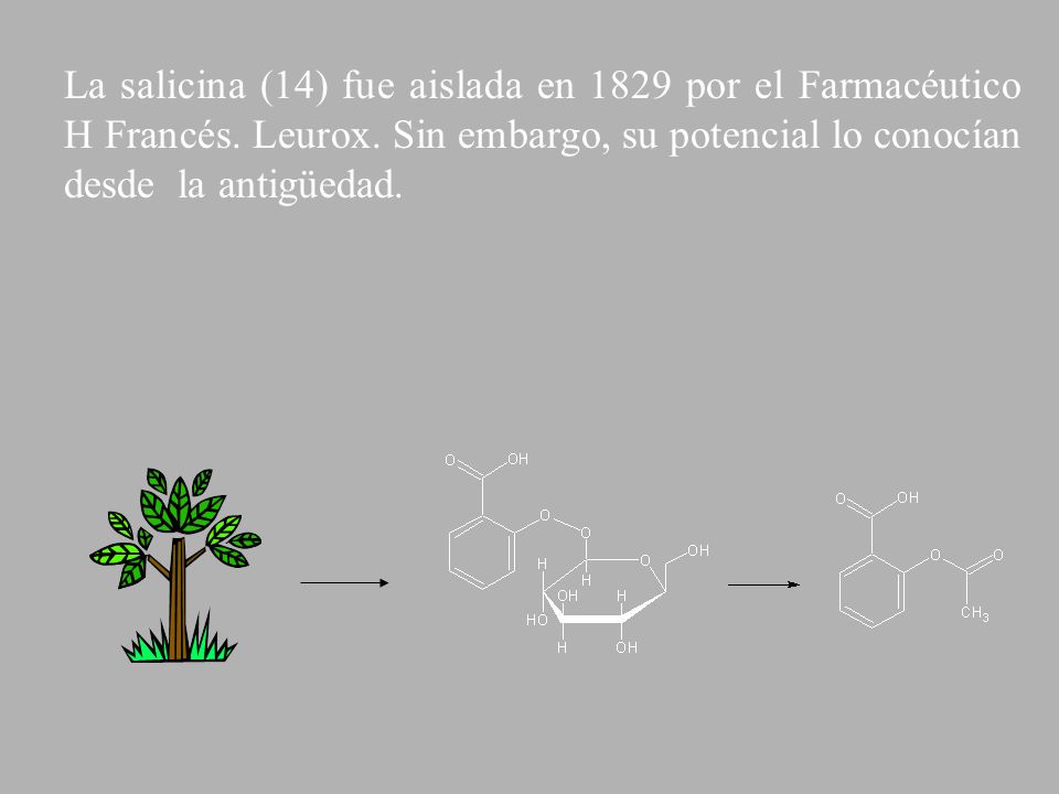 La salicina (14) fue aislada en 1829 por el Farmacéutico H Francés