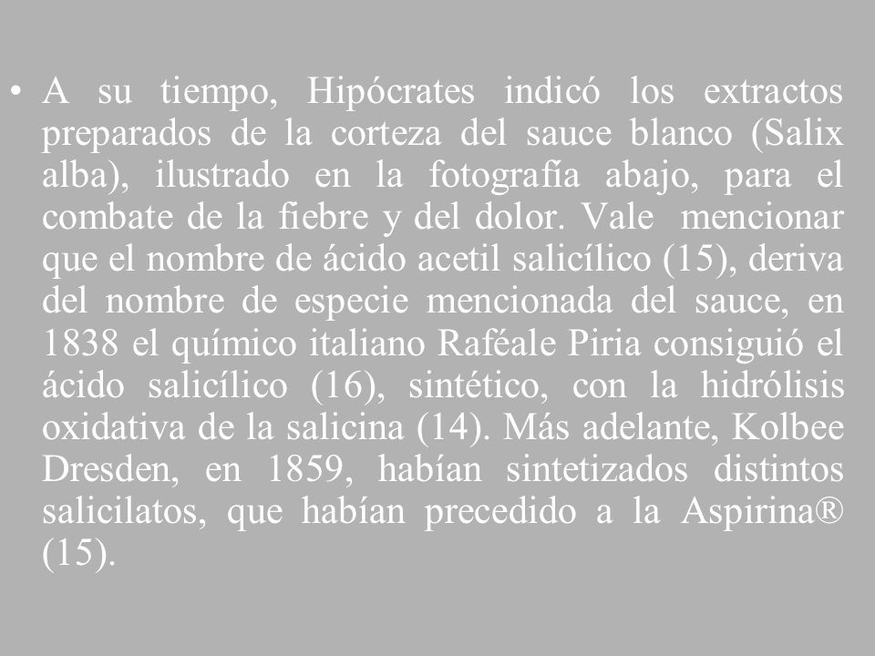 A su tiempo, Hipócrates indicó los extractos preparados de la corteza del sauce blanco (Salix alba), ilustrado en la fotografía abajo, para el combate de la fiebre y del dolor.