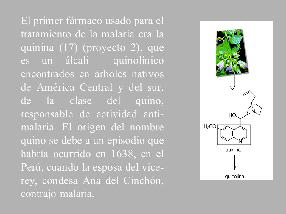 El primer fármaco usado para el tratamiento de la malaria era la quinina (17) (proyecto 2), que es un álcali quinolínico encontrados en árboles nativos de América Central y del sur, de la clase del quino, responsable de actividad anti-malaria.