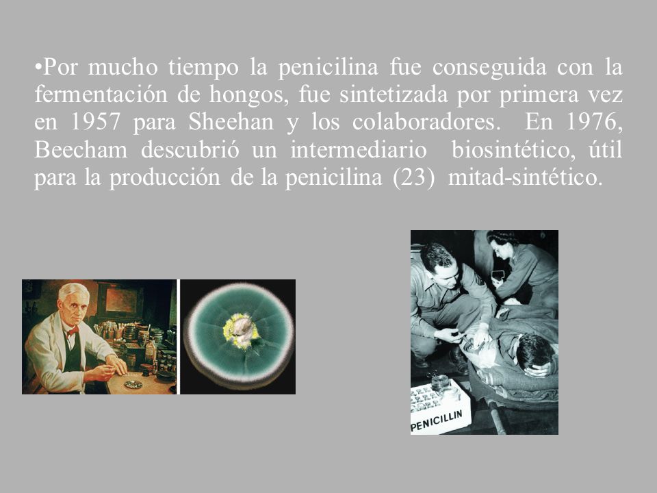 Por mucho tiempo la penicilina fue conseguida con la fermentación de hongos, fue sintetizada por primera vez en 1957 para Sheehan y los colaboradores.