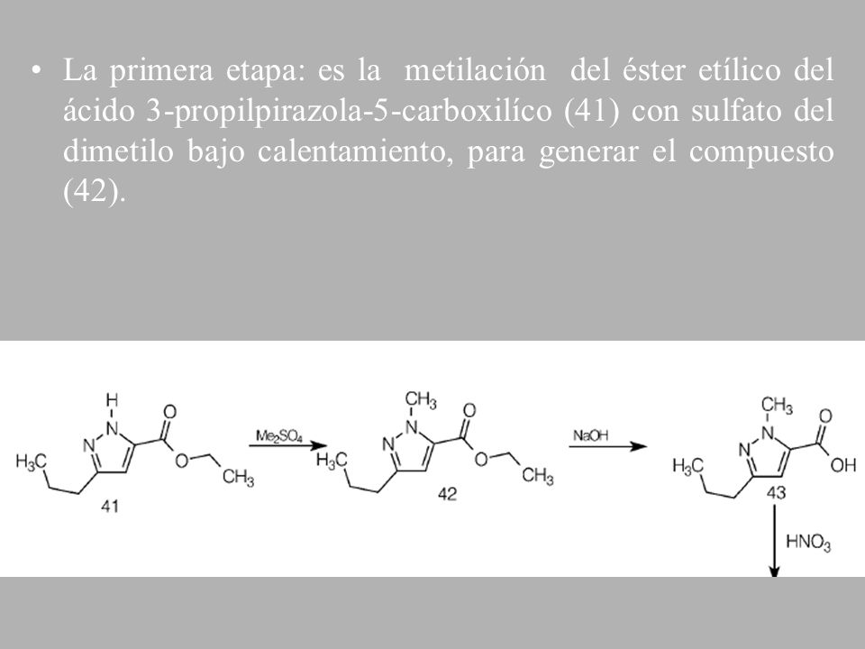 La primera etapa: es la metilación del éster etílico del ácido 3-propilpirazola-5-carboxilíco (41) con sulfato del dimetilo bajo calentamiento, para generar el compuesto (42).