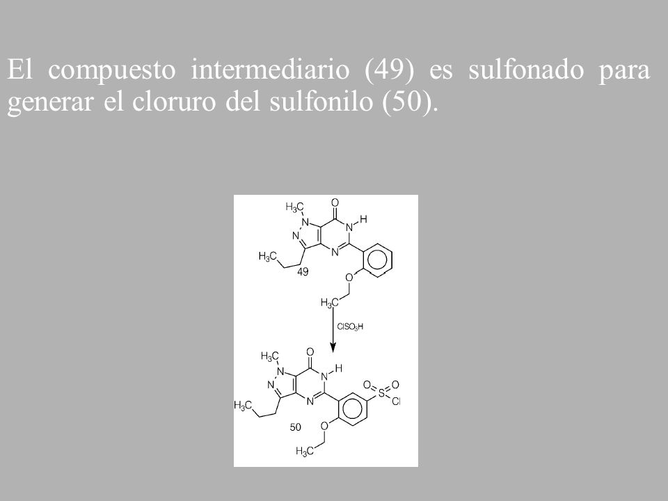 El compuesto intermediario (49) es sulfonado para generar el cloruro del sulfonilo (50).