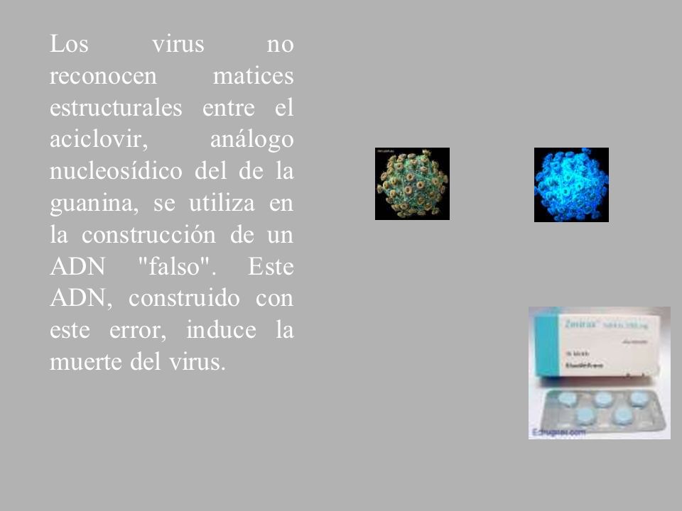 Los virus no reconocen matices estructurales entre el aciclovir, análogo nucleosídico del de la guanina, se utiliza en la construcción de un ADN falso .
