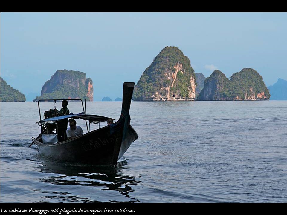 La bahía de Phangnga está plagada de abruptas islas calcáreas.