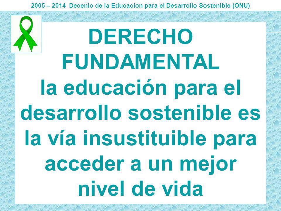 2005 – 2014 Decenio de la Educacion para el Desarrollo Sostenible (ONU)