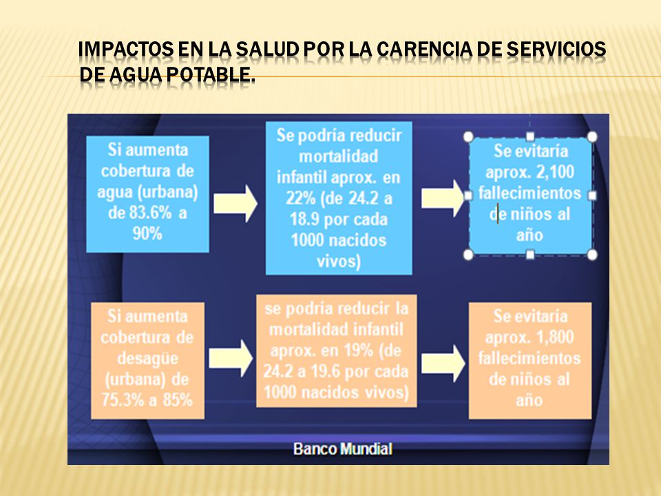 IMPACTOS EN LA SALUD POR LA CARENCIA DE SERVICIOS DE AGUA POTABLE.