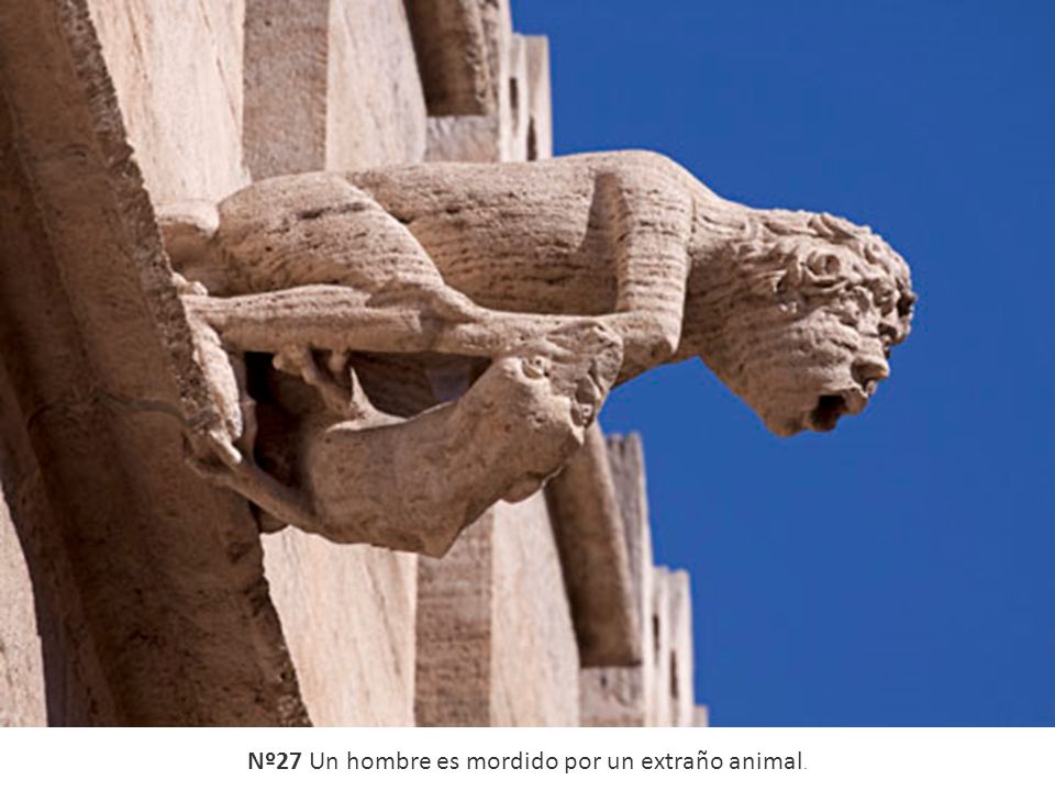 Nº27 Un hombre es mordido por un extraño animal.
