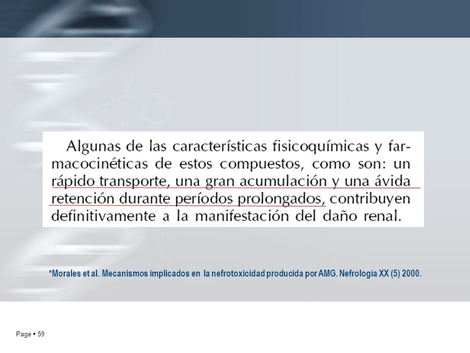 *Morales et al. Mecanismos implicados en la nefrotoxicidad producida por AMG.