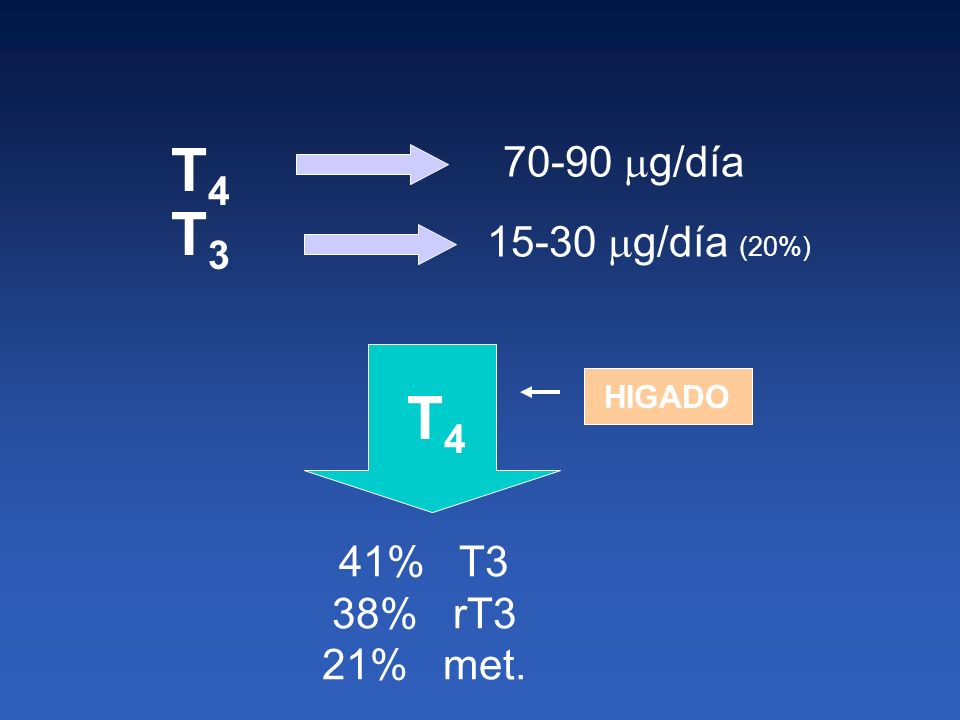 T4 T3 T g/día g/día (20%) 41% T3 38% rT3 21% met.