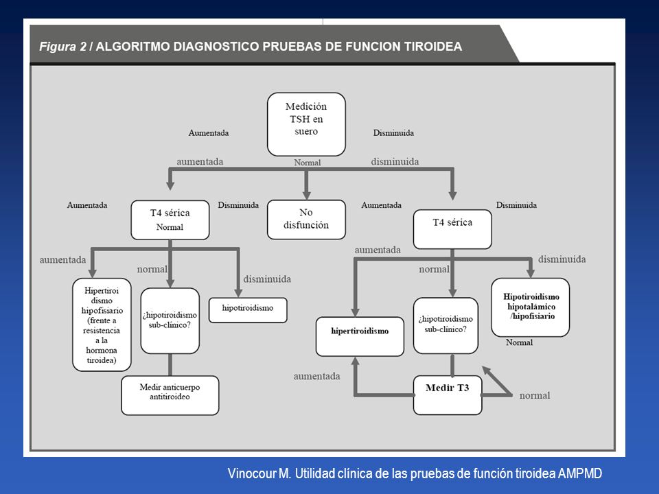 Vinocour M. Utilidad clínica de las pruebas de función tiroidea AMPMD