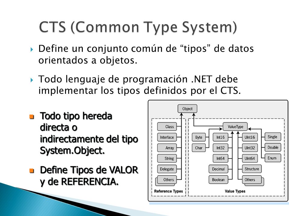 CTS (Common Type System)