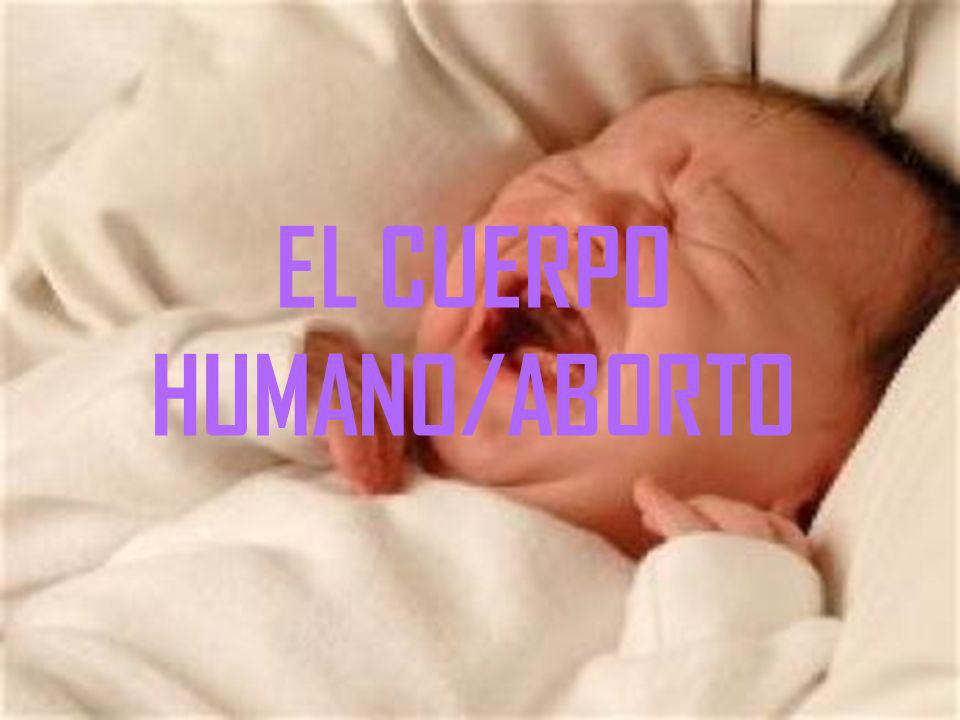 EL CUERPO HUMANO/ABORTO