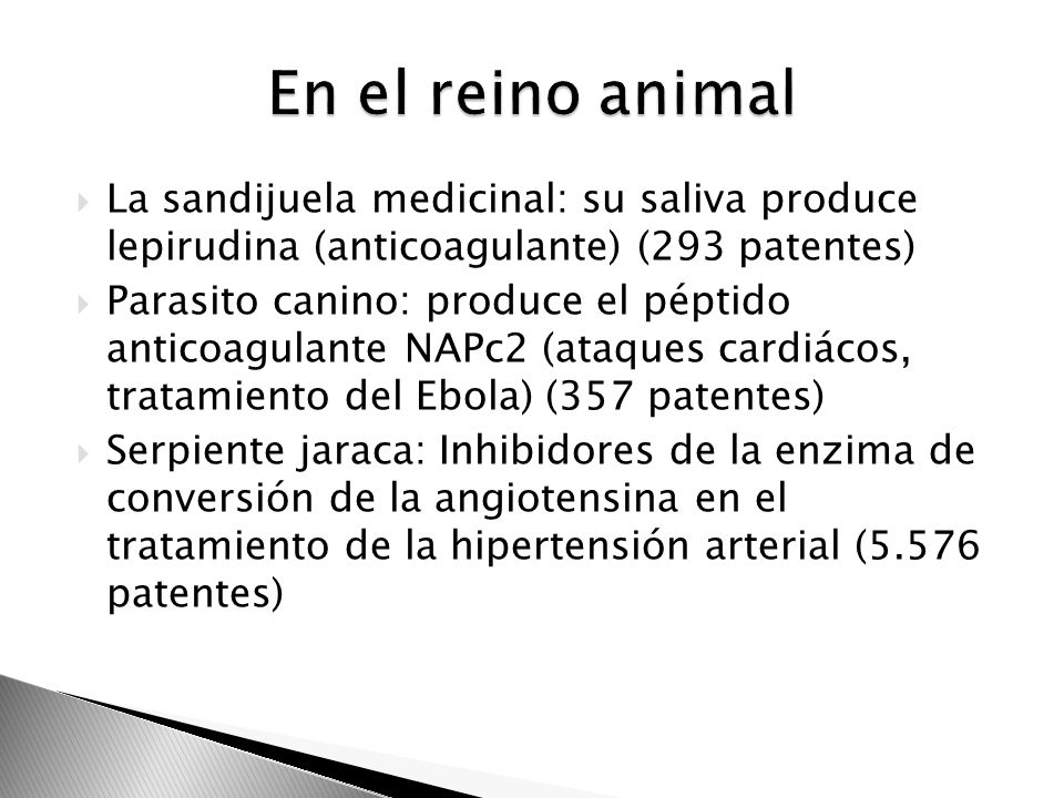 En el reino animal La sandijuela medicinal: su saliva produce lepirudina (anticoagulante) (293 patentes)