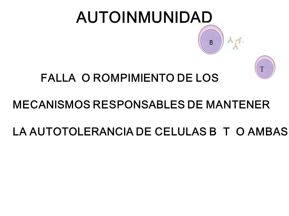 AUTOINMUNIDAD FALLA O ROMPIMIENTO DE LOS