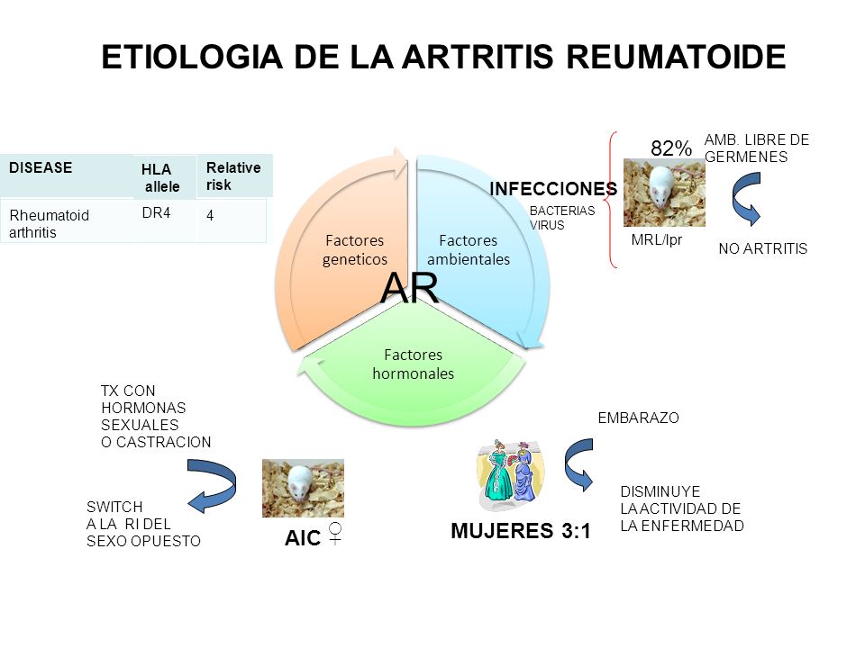 AR ETIOLOGIA DE LA ARTRITIS REUMATOIDE ♀ 82% MUJERES 3:1 AIC