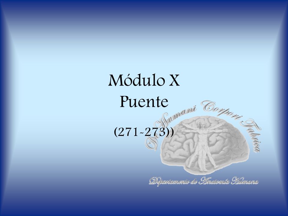 Módulo X Puente ( ))