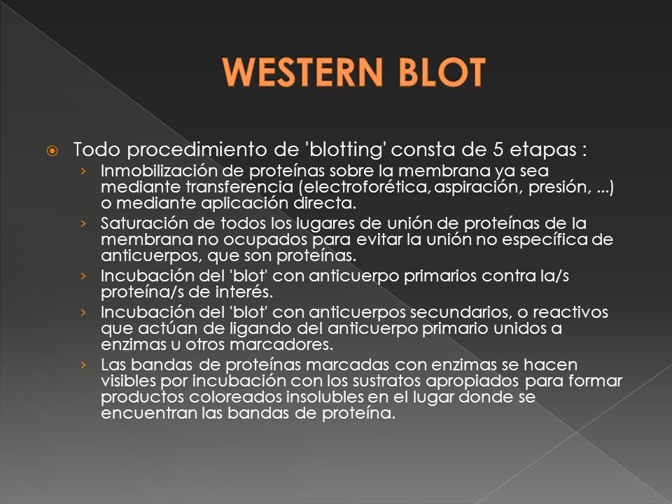 WESTERN BLOT Todo procedimiento de blotting consta de 5 etapas :
