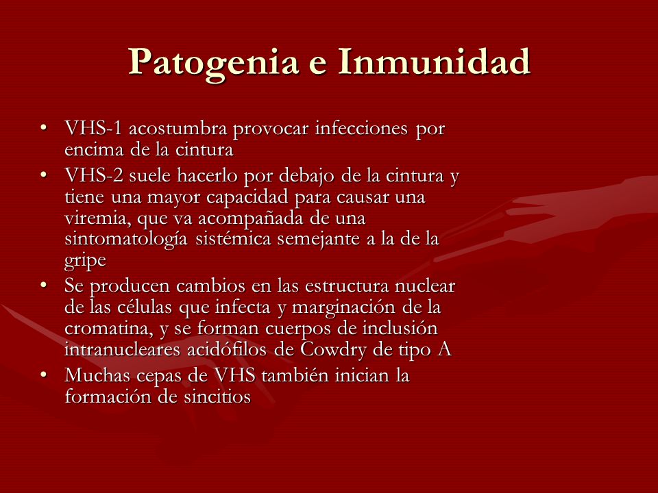 Patogenia e Inmunidad VHS-1 acostumbra provocar infecciones por encima de la cintura.