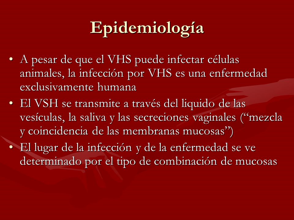 Epidemiología A pesar de que el VHS puede infectar células animales, la infección por VHS es una enfermedad exclusivamente humana.