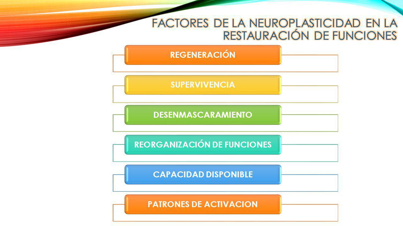 Factores de la neuroplasticidad en la restauración de funciones