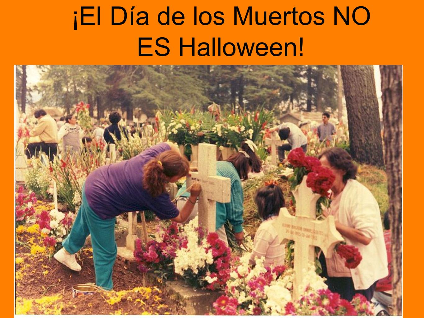 ¡El Día de los Muertos NO ES Halloween!