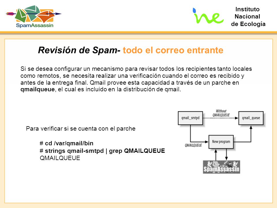Revisión de Spam- todo el correo entrante