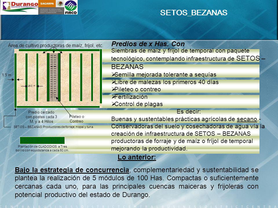 SETOS_BEZANAS Predios de x Has. Con Lo anterior:
