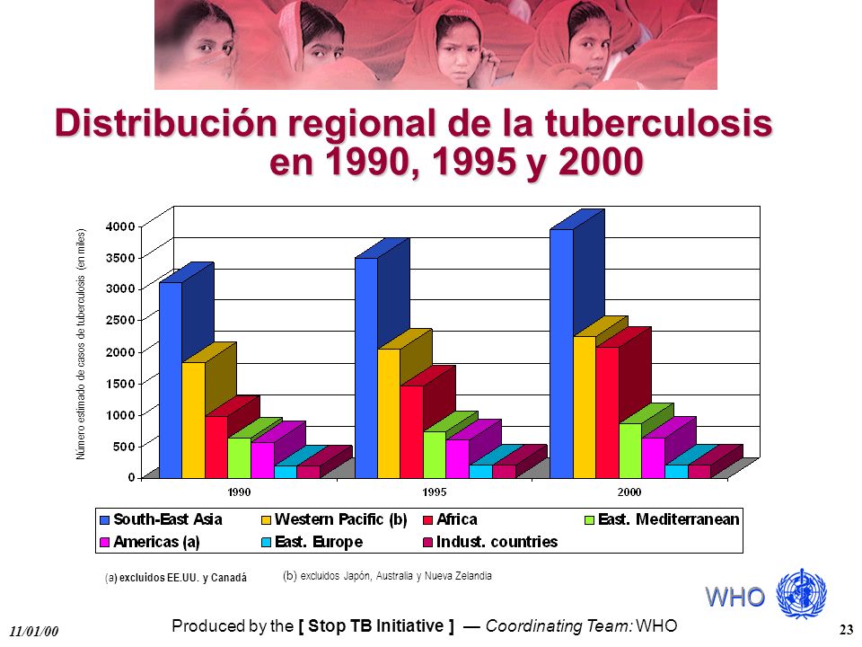 Distribución regional de la tuberculosis en 1990, 1995 y 2000