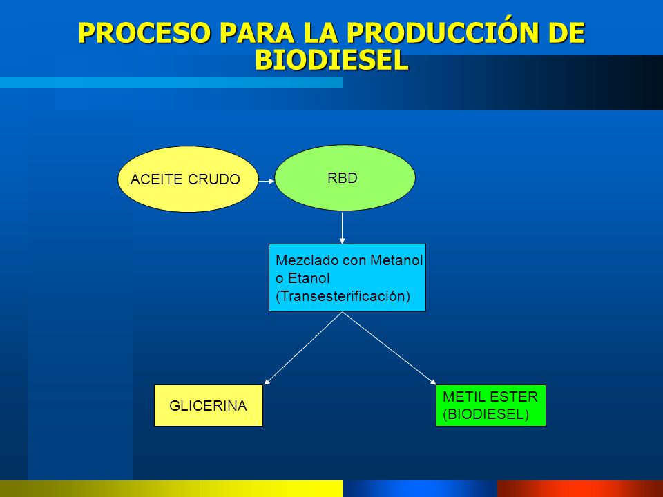 PROCESO PARA LA PRODUCCIÓN DE BIODIESEL