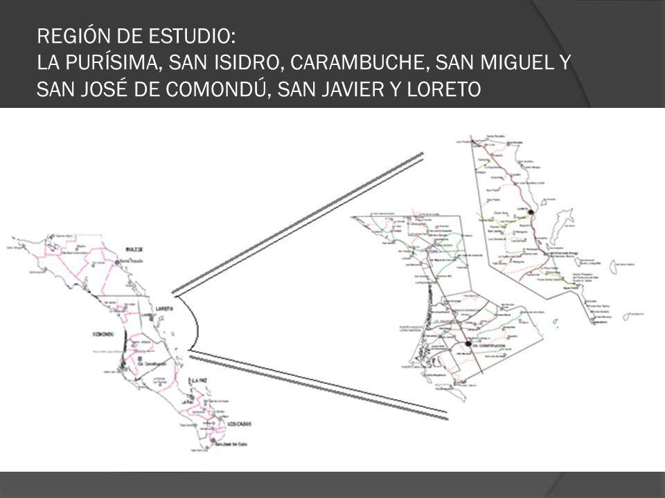 REGIÓN DE ESTUDIO: LA PURÍSIMA, SAN ISIDRO, CARAMBUCHE, SAN MIGUEL Y SAN JOSÉ DE COMONDÚ, SAN JAVIER Y LORETO