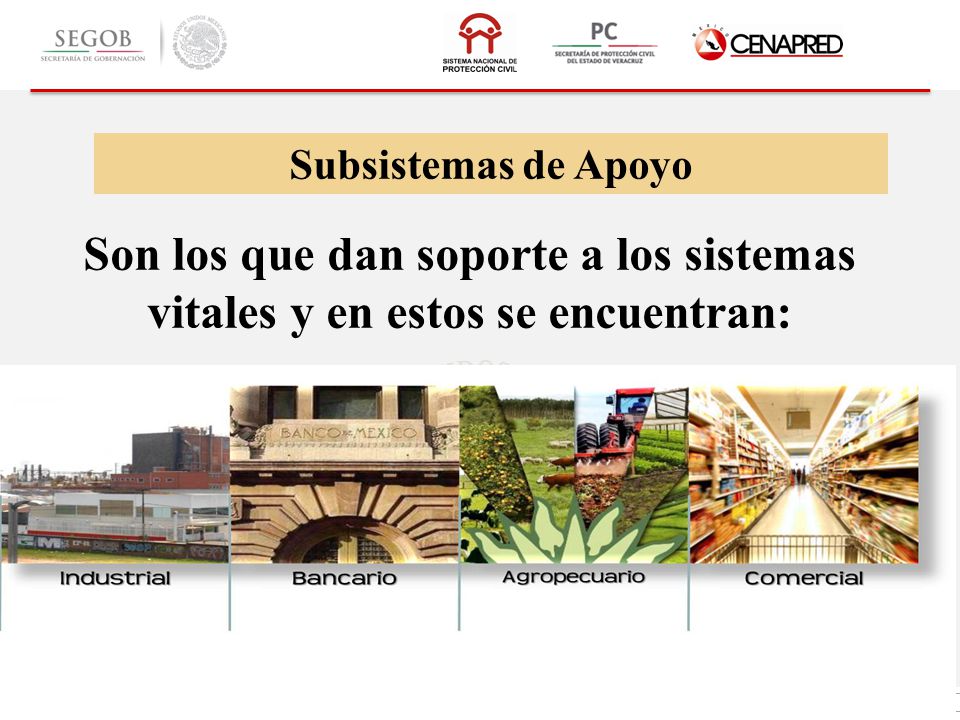 Subsistemas de Apoyo Son los que dan soporte a los sistemas vitales y en estos se encuentran: