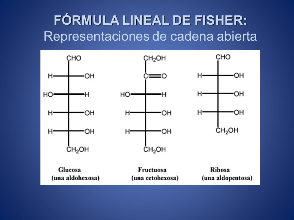 FÓRMULA LINEAL DE FISHER: