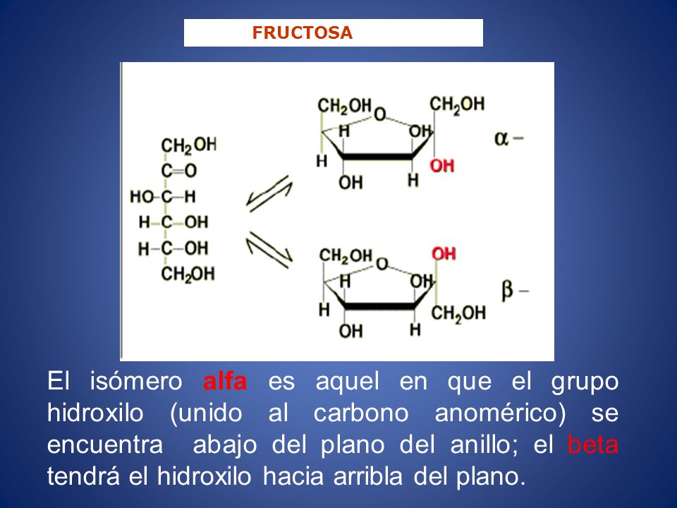 FRUCTOSA