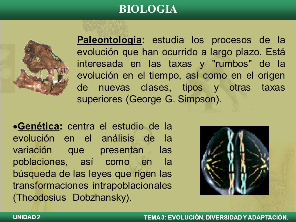Paleontología: estudia los procesos de la evolución que han ocurrido a largo plazo. Está interesada en las taxas y rumbos de la evolución en el tiempo, así como en el origen de nuevas clases, tipos y otras taxas superiores (George G. Simpson).