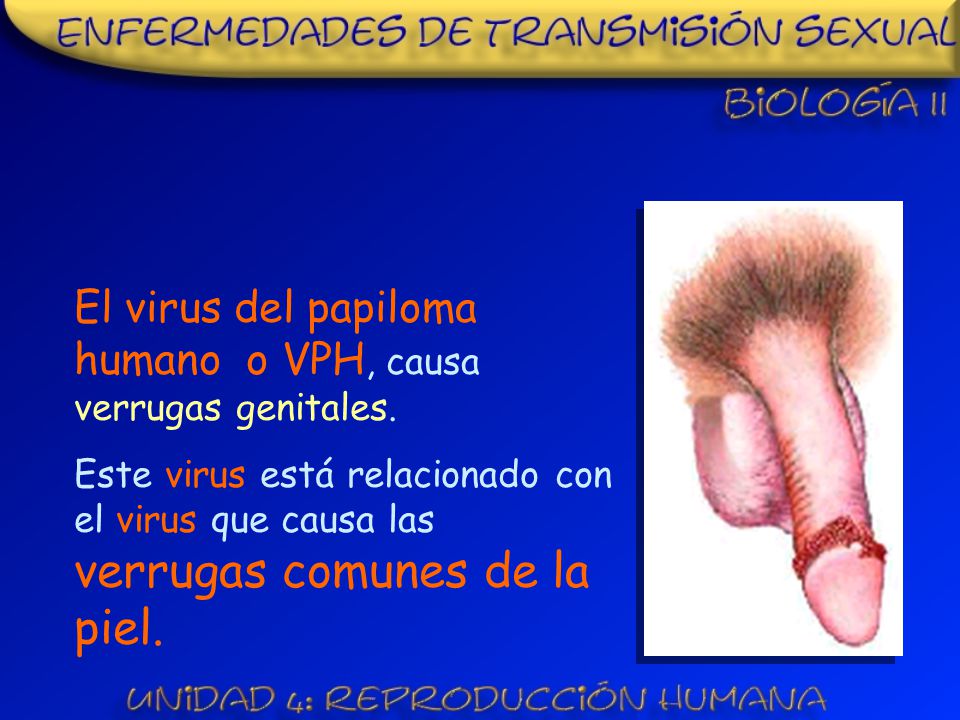 El virus del papiloma humano o VPH, causa verrugas genitales.