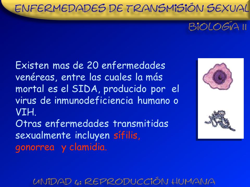 Existen mas de 20 enfermedades venéreas, entre las cuales la más mortal es el SIDA, producido por el virus de inmunodeficiencia humano o VIH.