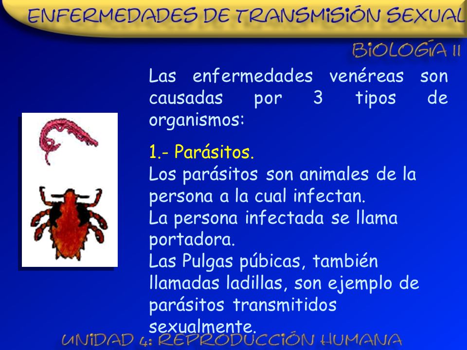 Las enfermedades venéreas son causadas por 3 tipos de organismos: