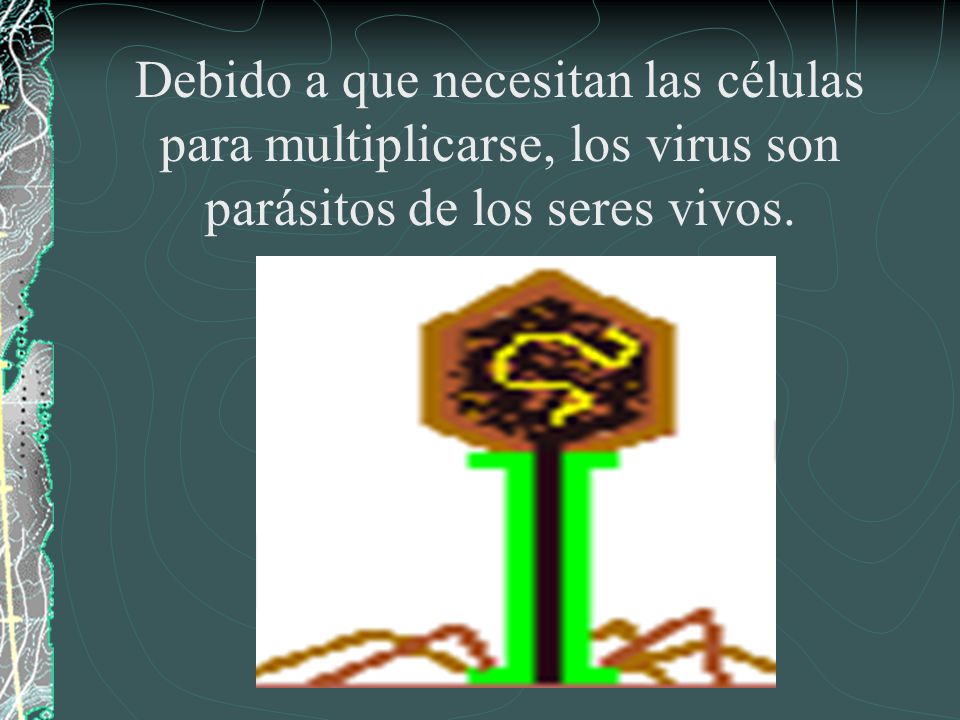 Debido a que necesitan las células para multiplicarse, los virus son parásitos de los seres vivos.