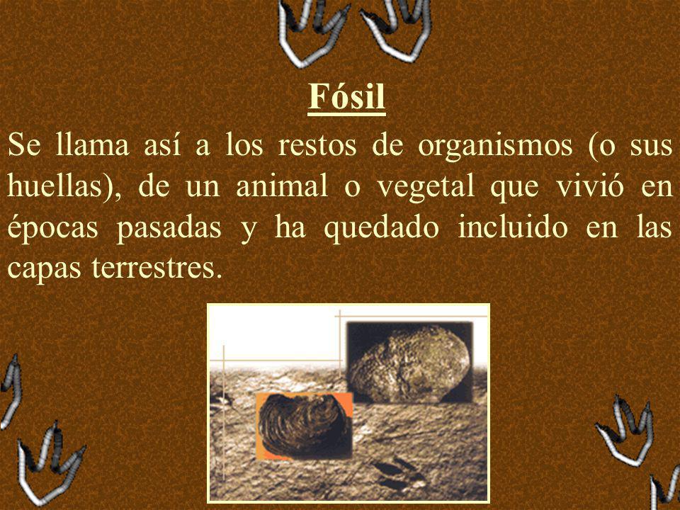 Fósil