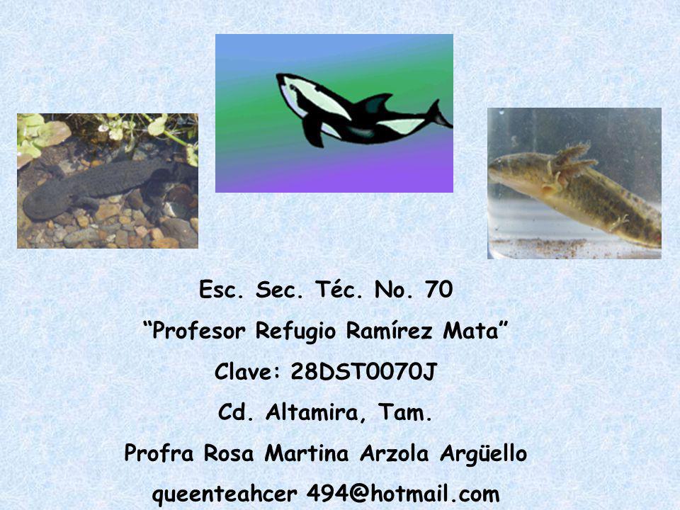 Profesor Refugio Ramírez Mata Clave: 28DST0070J Cd. Altamira, Tam.