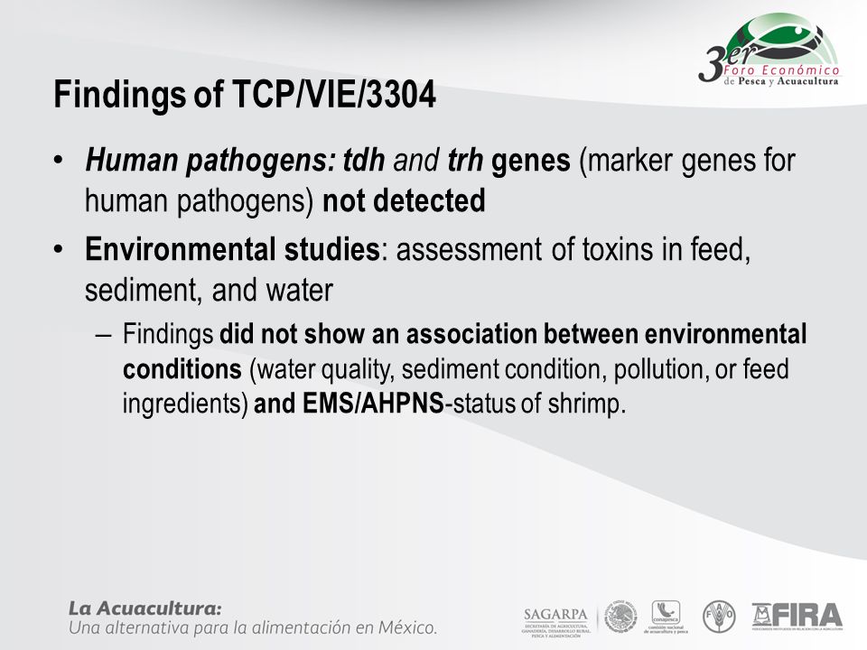 Findings of TCP/VIE/3304 Human pathogens: tdh and trh genes (marker genes for human pathogens) not detected.