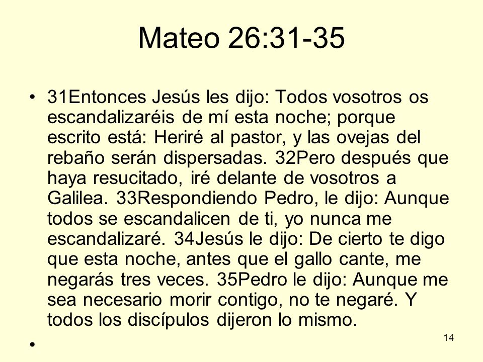 Mateo 26:31-35