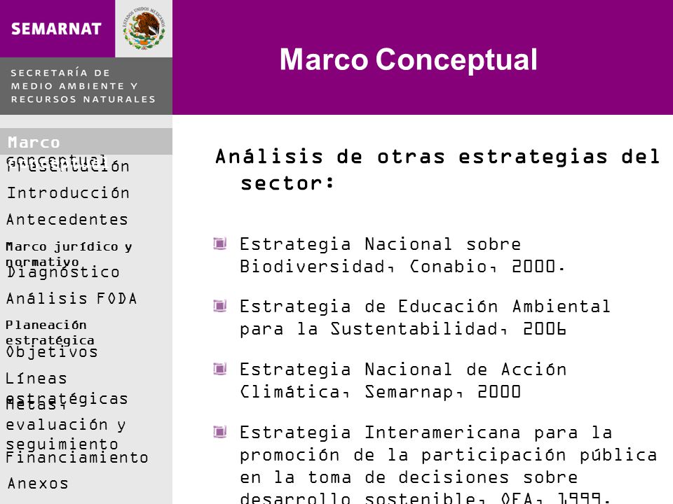 Marco Conceptual Análisis de otras estrategias del sector: