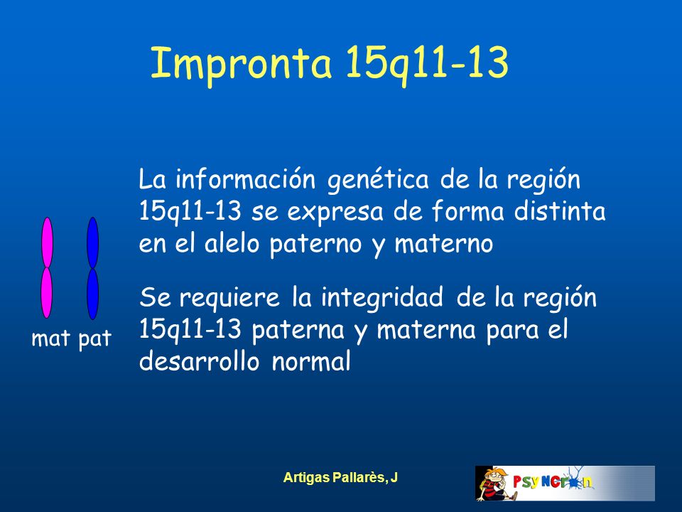 Impronta 15q11-13 La información genética de la región 15q11-13 se expresa de forma distinta en el alelo paterno y materno.