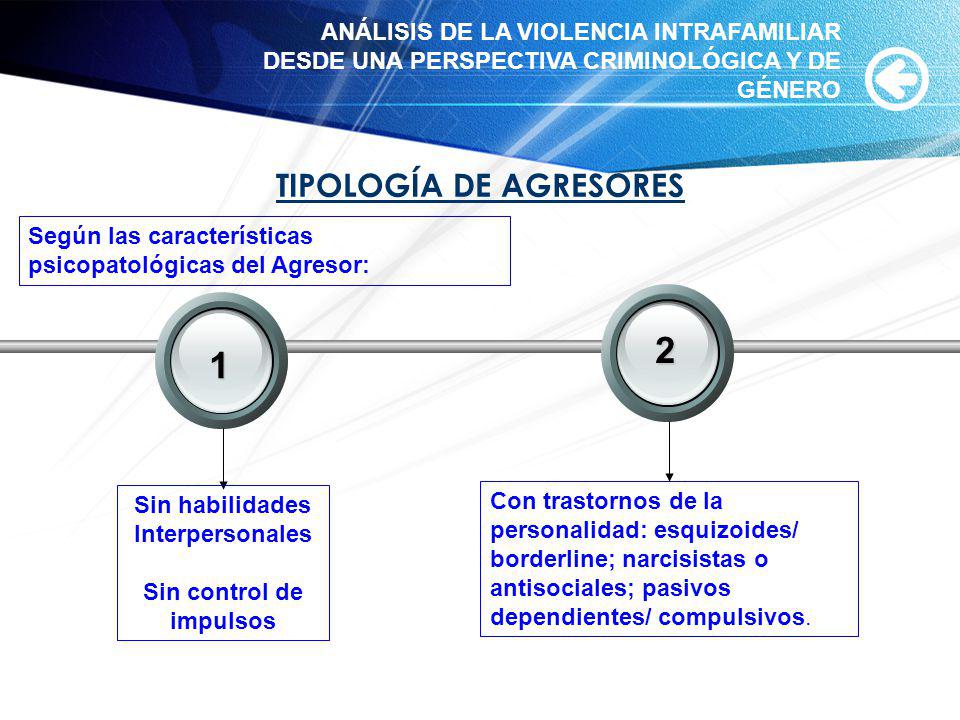 2 1 TIPOLOGÍA DE AGRESORES Your Text
