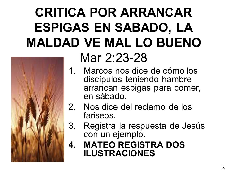 CRITICA POR ARRANCAR ESPIGAS EN SABADO, LA MALDAD VE MAL LO BUENO Mar 2:23-28