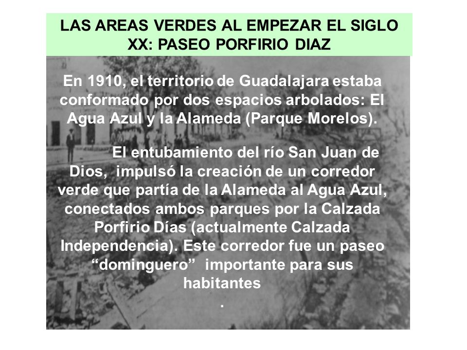 LAS AREAS VERDES AL EMPEZAR EL SIGLO XX: PASEO PORFIRIO DIAZ