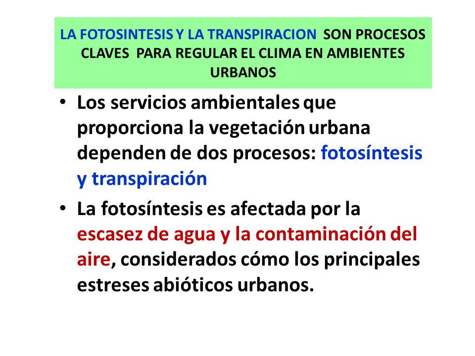 LA FOTOSINTESIS Y LA TRANSPIRACION SON PROCESOS CLAVES PARA REGULAR EL CLIMA EN AMBIENTES URBANOS